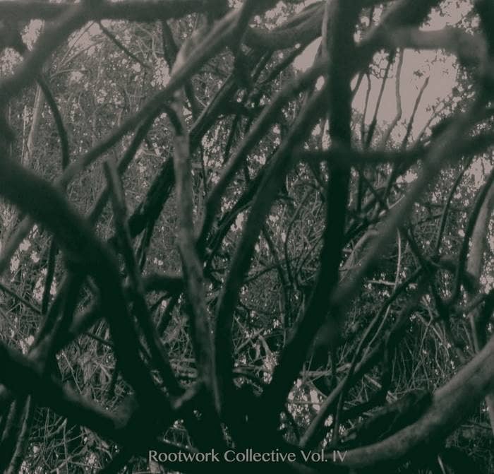 Rootwork Compilation Vol. 4